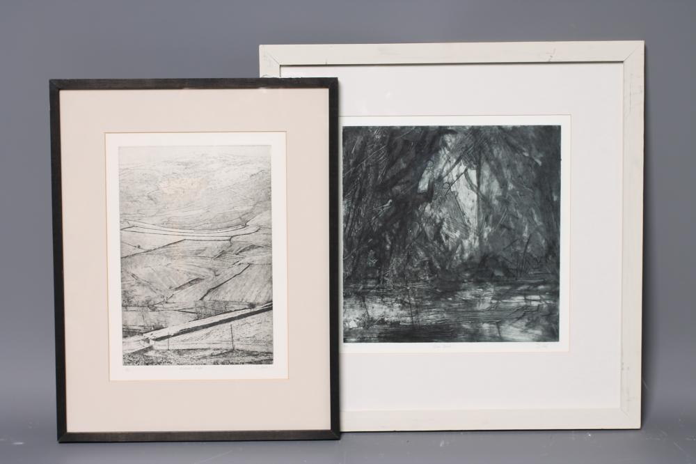 ‡DAVID R COOK (b.1937) Image