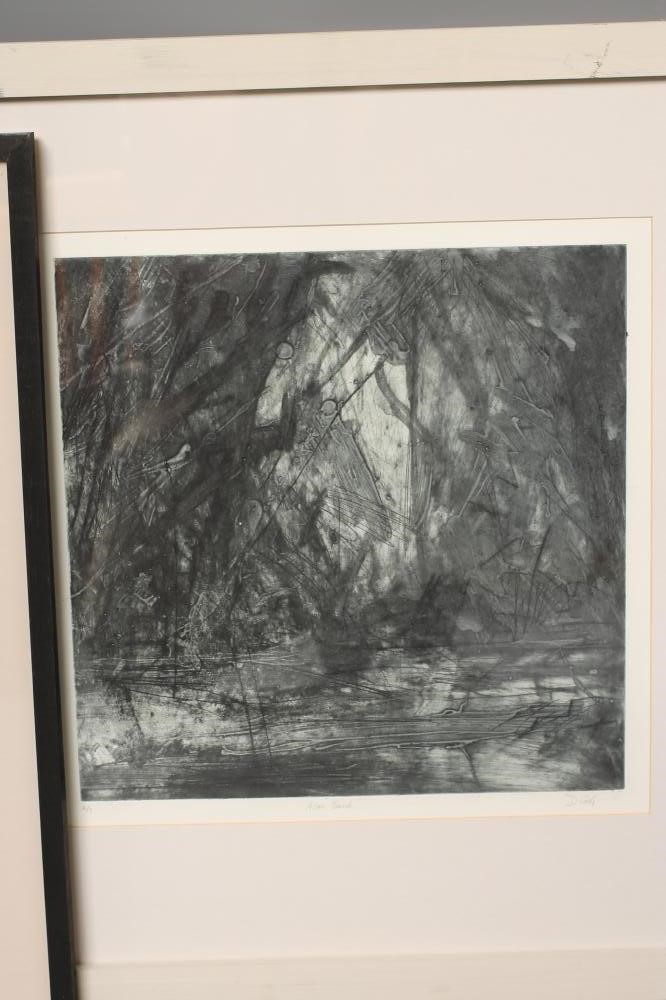 ‡DAVID R COOK (b.1937) Image