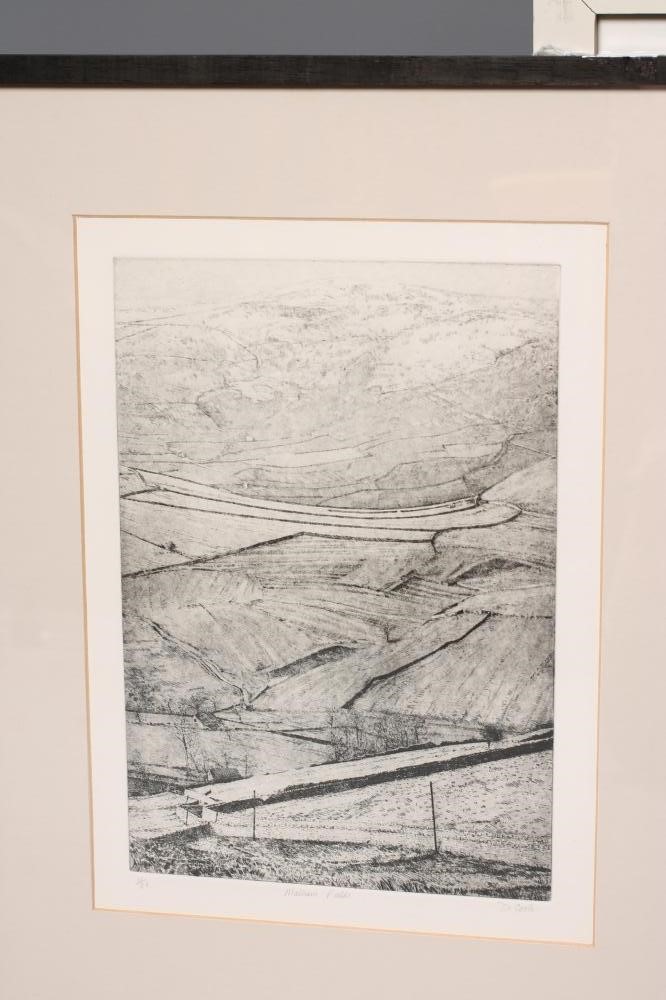 ‡DAVID R COOK (b.1937) Image