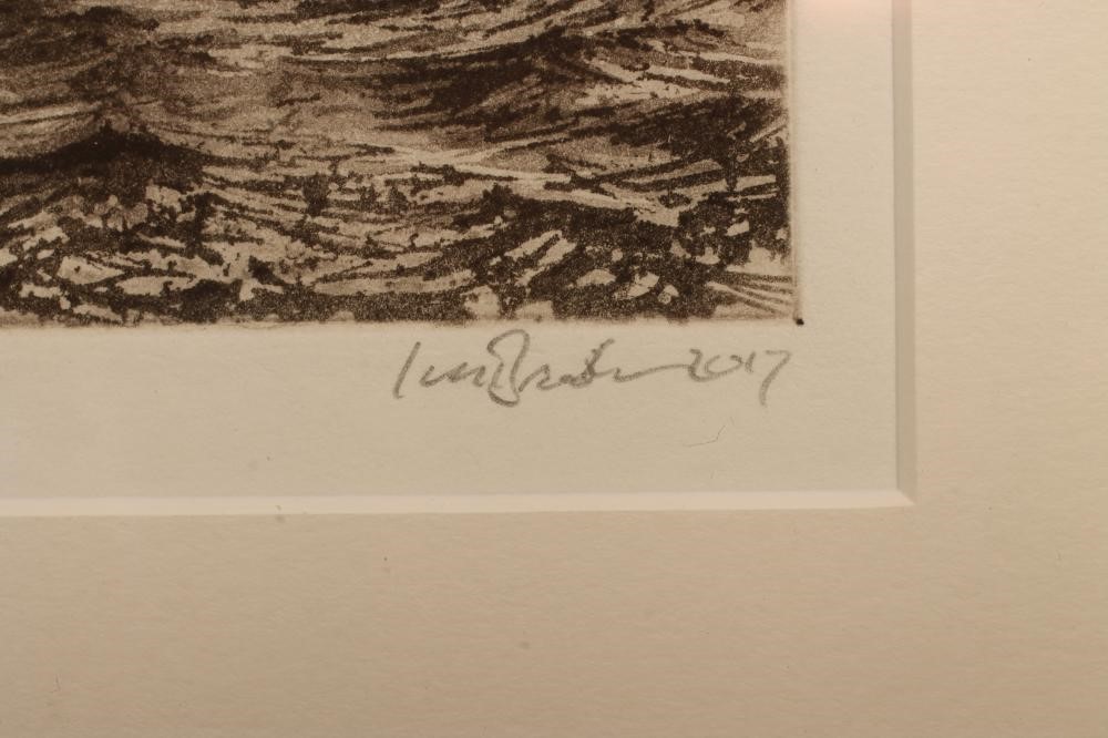 ‡IAN BROOKS (Contemporary) Image