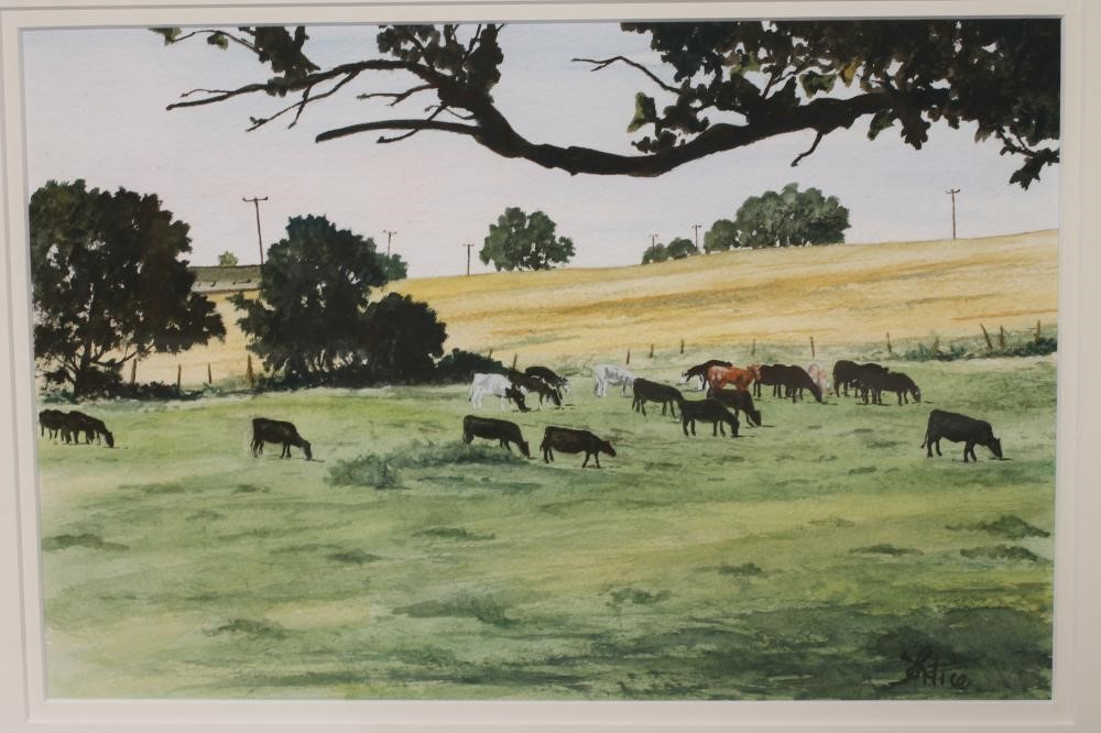 ‡ALAN TORTICE (b.1948) Image