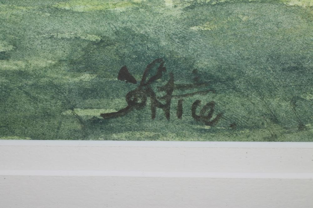 ‡ALAN TORTICE (b.1948) Image