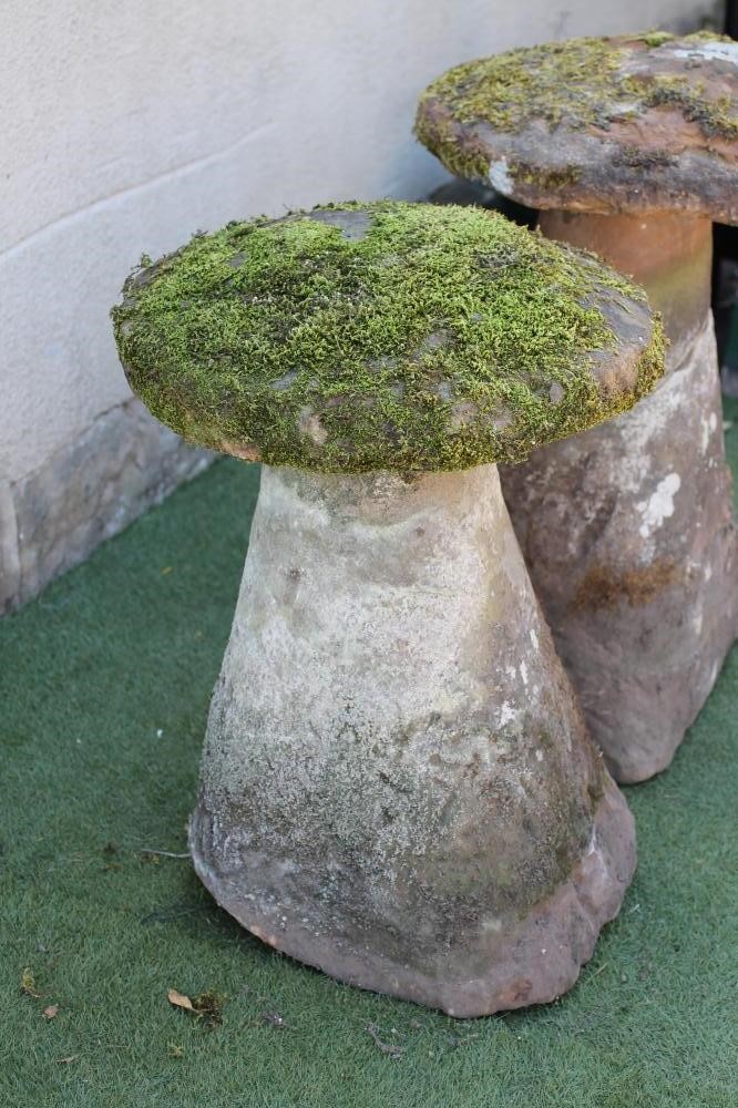 A MATCHED PAIR OF SANDSTONE STADDLE STONES Image