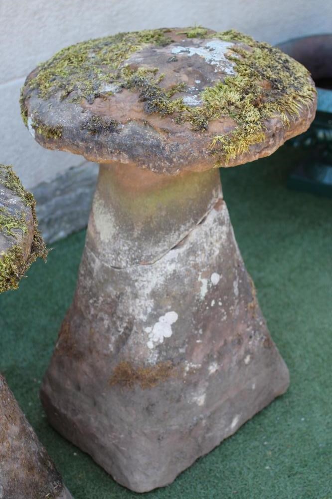 A MATCHED PAIR OF SANDSTONE STADDLE STONES Image