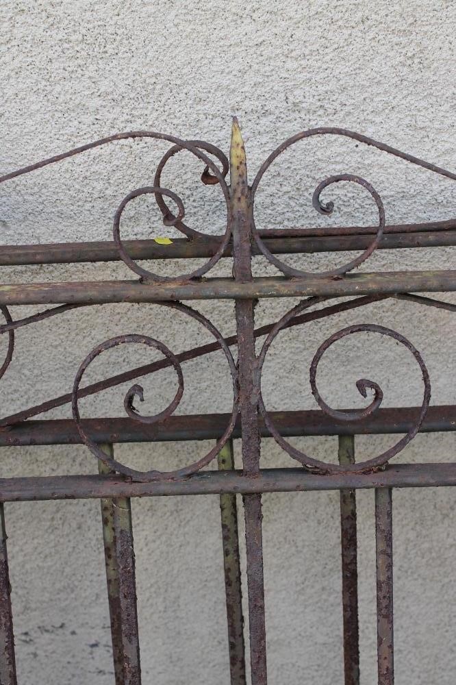 A PAIR OF CAST IRON VEHICULAR ENTRANCE GATES Image