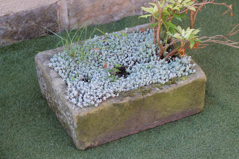 A SANDSTONE TROUGH of well cut oblong form Image