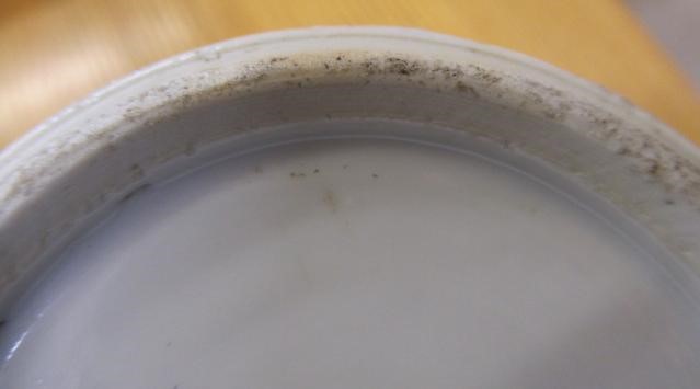 THREE CHINESE PORCELAIN VASES Image