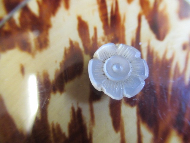 A TORTOISESHELL TEA CADDY Image