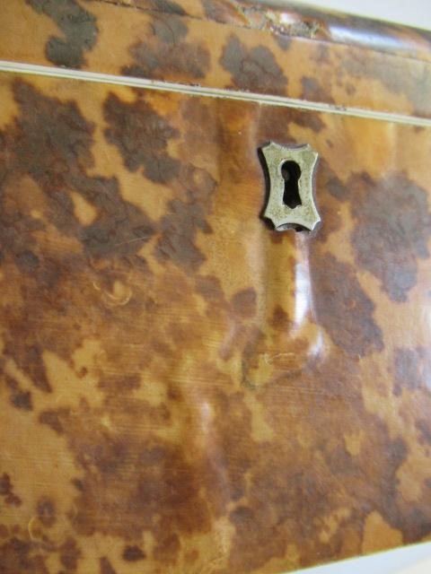 A TORTOISESHELL TEA CADDY Image
