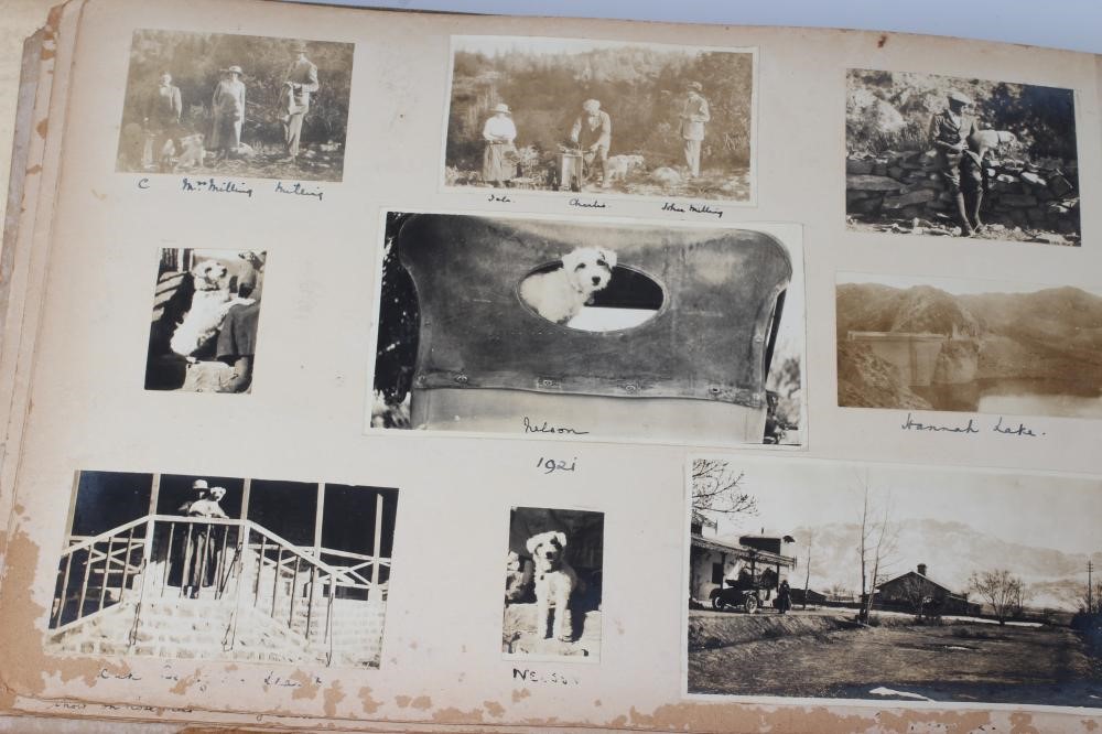 THREE EARLY 20TH CENTURY ALBUMS Image