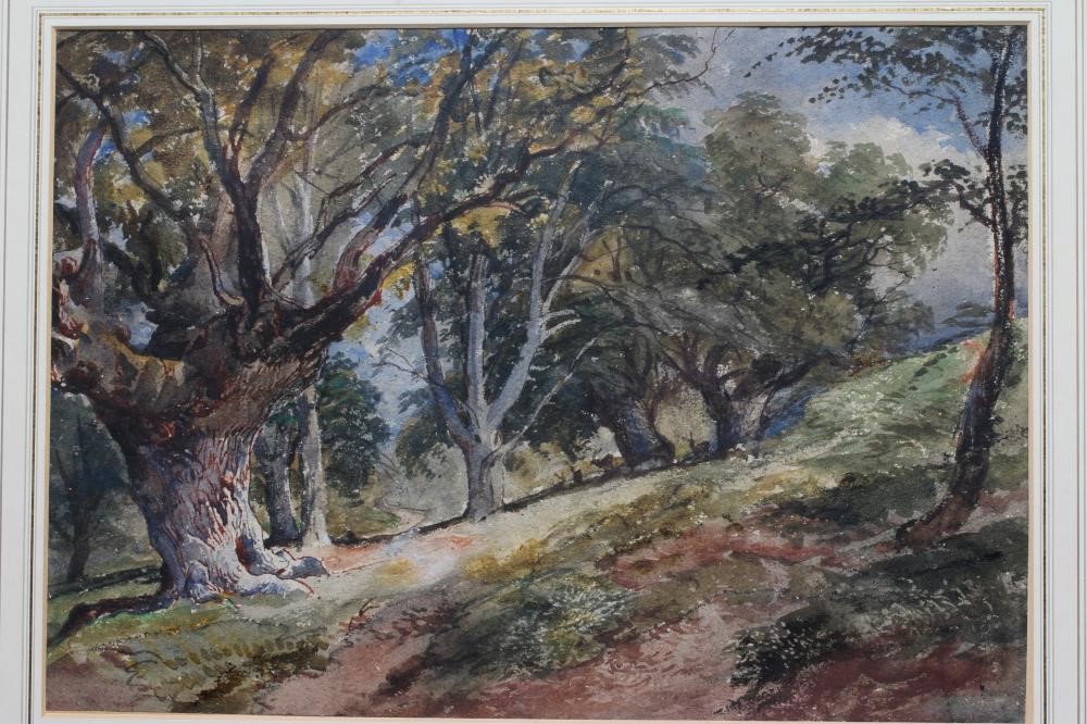 Attributed to David Cox (1783-1859) Woodland View, watercolour, 14 1/2" x 20 1/2", framed and glazed Image