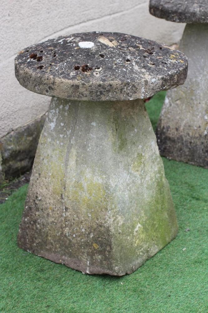 A PAIR OF SANDSTONE STADDLE STONES with mushroom caps on square tapering bases, 22" x 30" Image