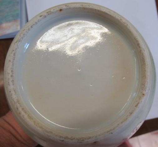 A CHINESE PORCELAIN BOTTLE VASE painted in colours with a vignette of three figures below a gnarled Image