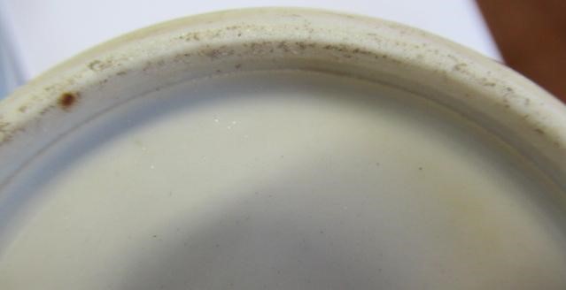 A CHINESE PORCELAIN BOTTLE VASE painted in colours with a vignette of three figures below a gnarled Image