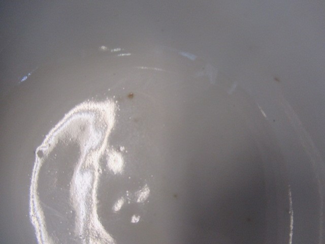 A CHINESE PORCELAIN SMALL BOWL, the iron red exterior reverse decorated with bamboo, six character Image