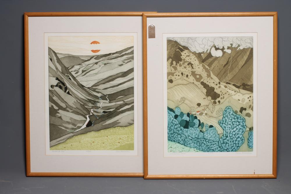 ‡JOHN BRUNSDEN (1933-2014) Image