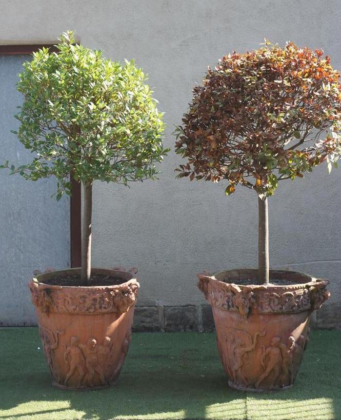 A PAIR OF LARGE ITALIAN STYLE TERRACOTTA POTS Image