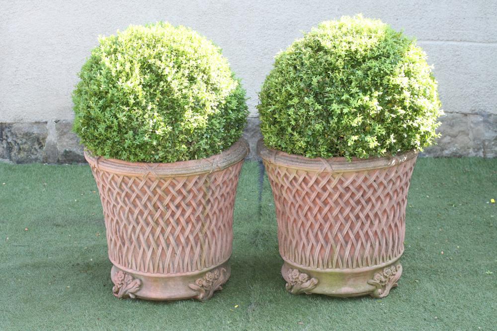A PAIR OF TERRACOTTA POTS of circular tapering form with reed and ribbon moulded rim Image