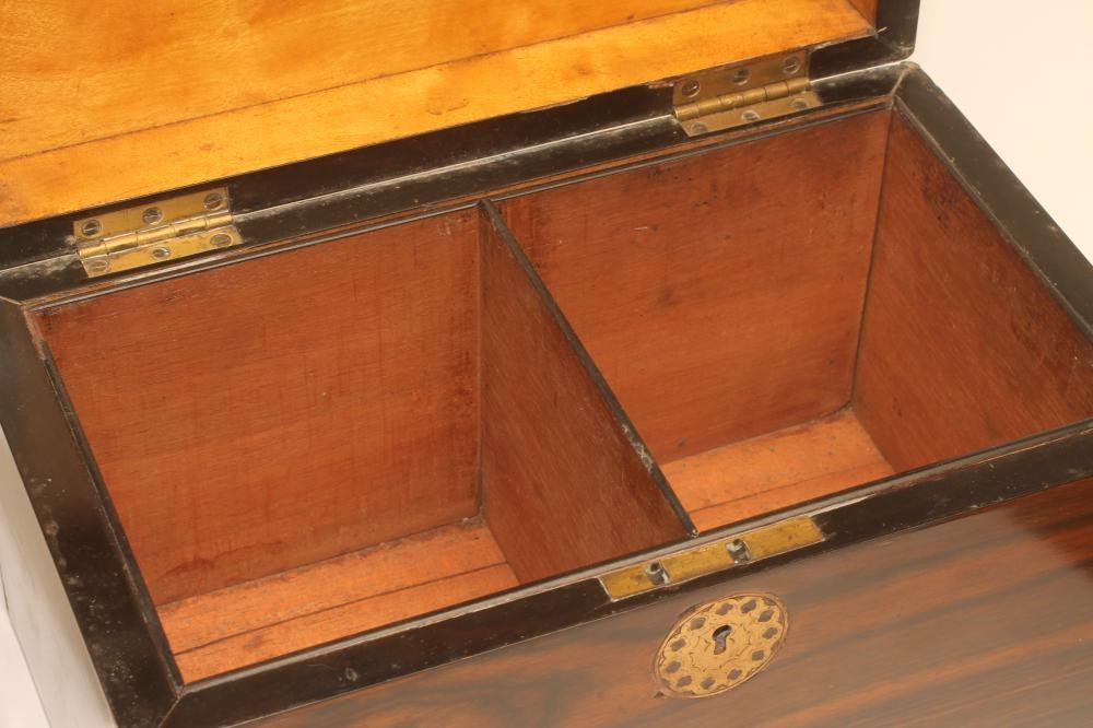 A REGENCY COROMANDEL TEA CADDY of plain oblong form Image