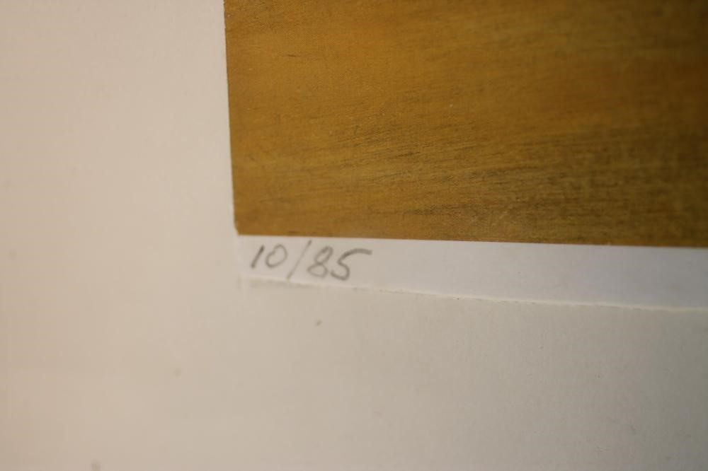 SIDNEY ROBERT NOLAN (Australian 1917-1992) Image