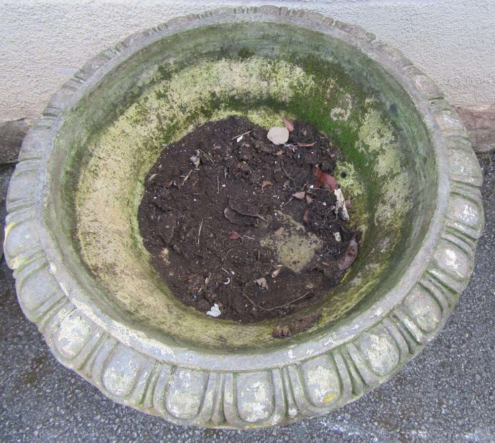 A COMPOSITION STONE URN of half fluted campana form with ovolo moulded rim and square base Image