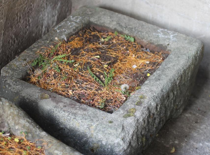 A SANDSTONE TROUGH of rough hewn oblong form with one rounded corner Image