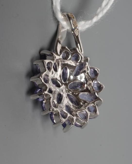 A TANZANITE CLUSTER PENDANT, the circular and marquise cut stones point set to a plain 9ct white Image
