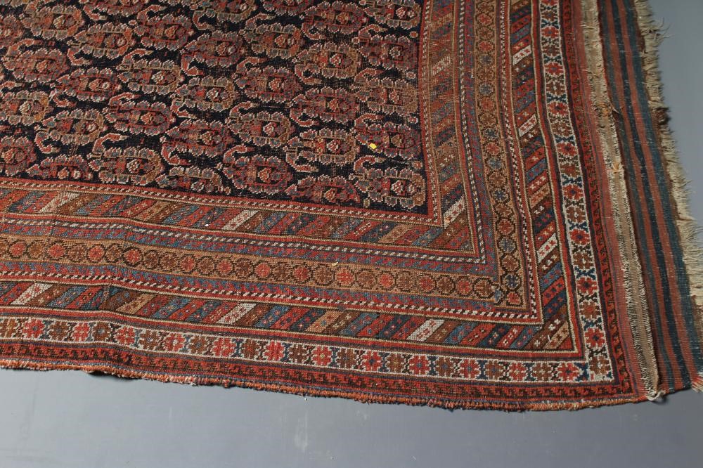 A SHRIVAN BAKU RUG, South East Caucasus, late19/20th century, similiar to previous lot, 89 1/2" x 60 Image
