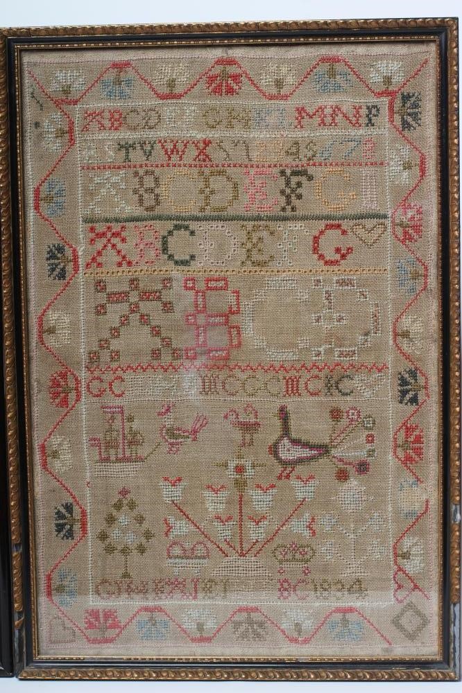 A WILLIAM IV SAMPLER Image