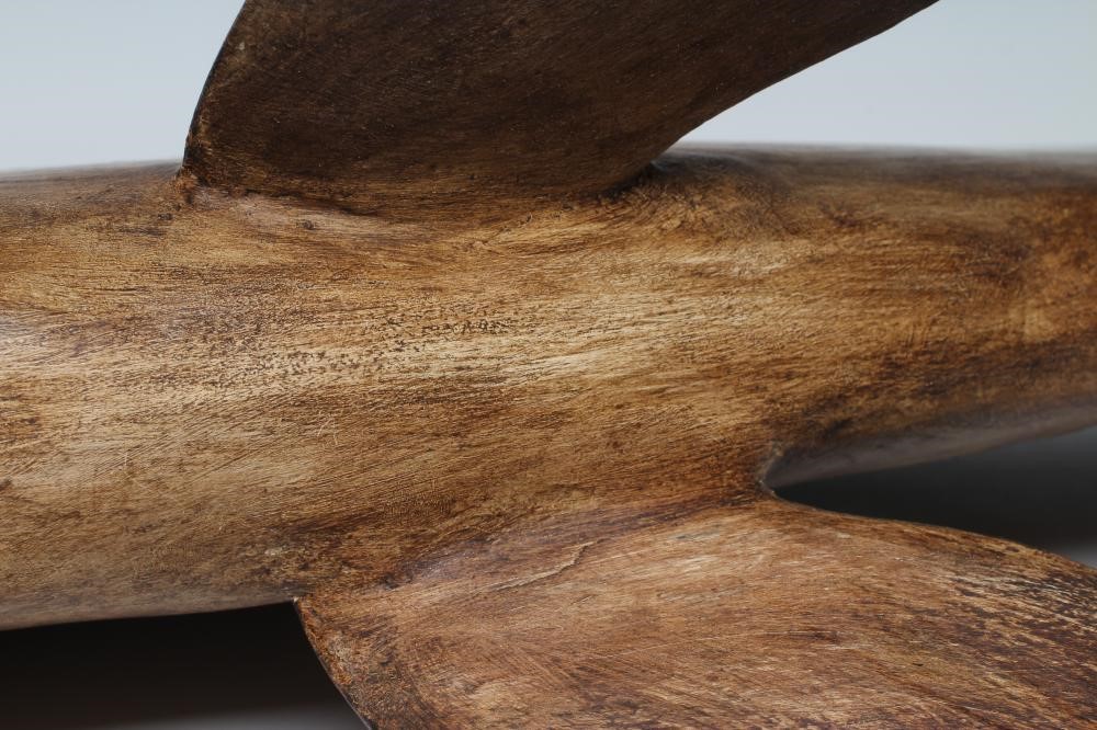 GUY TAPLIN (b.1939) a carved and painted model of a fish with inset amber eyes, signed, 40 x 14 Image