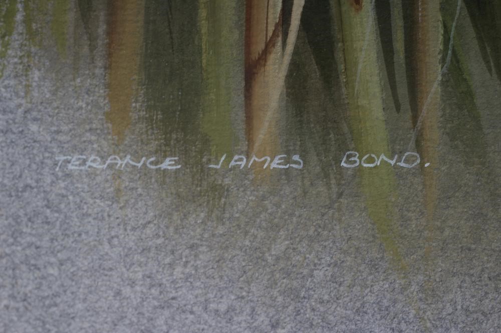 TERANCE JAMES BOND (b.1946) A Reed Warbler, watercolour heightened with white, signed, 13 1/4" x 9 Image