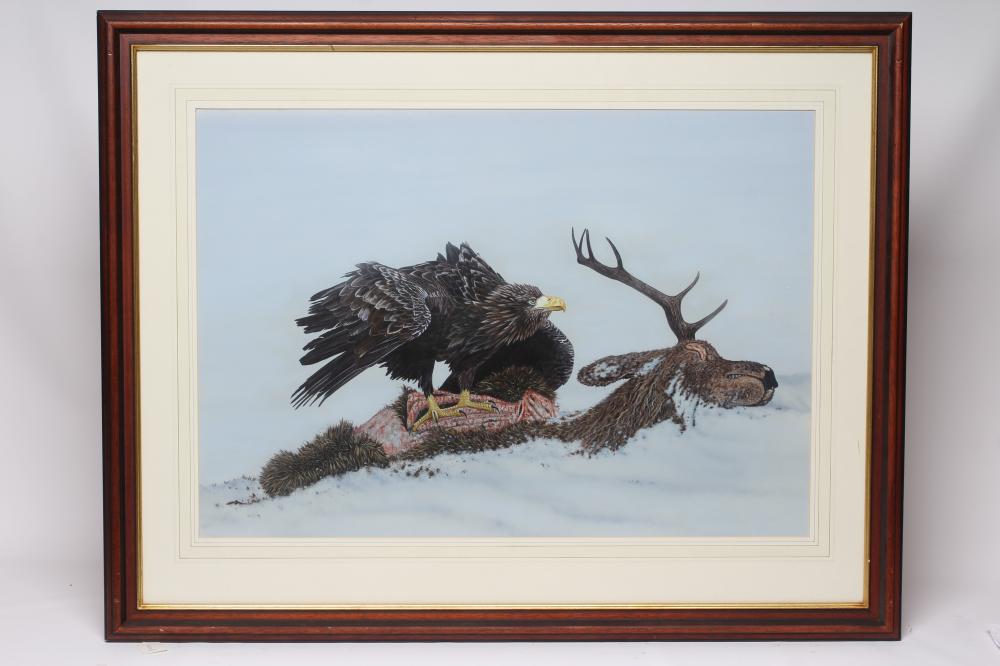 MICHAEL DEMAIN (b.1958) Golden Eagle on a Fallen Stag, gouache, signed, 21 1/2" x 30 1/2", stained Image