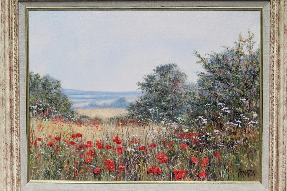 DEBORAH POYNTON (South African b.1970) "Poppies in the Meadow", oil on canvas, signed, 12" x 16", Image
