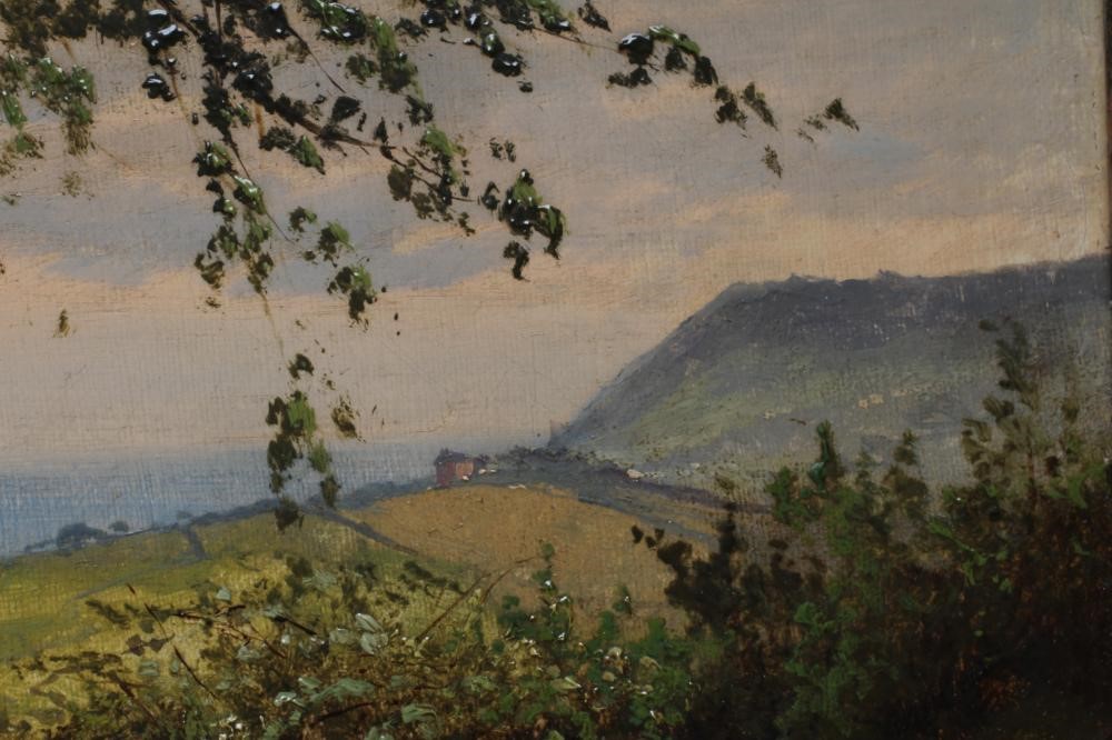 EDWARD HENRY HOLDER (1847-1922) Coastal Landscape with Whitby in the Distance Image