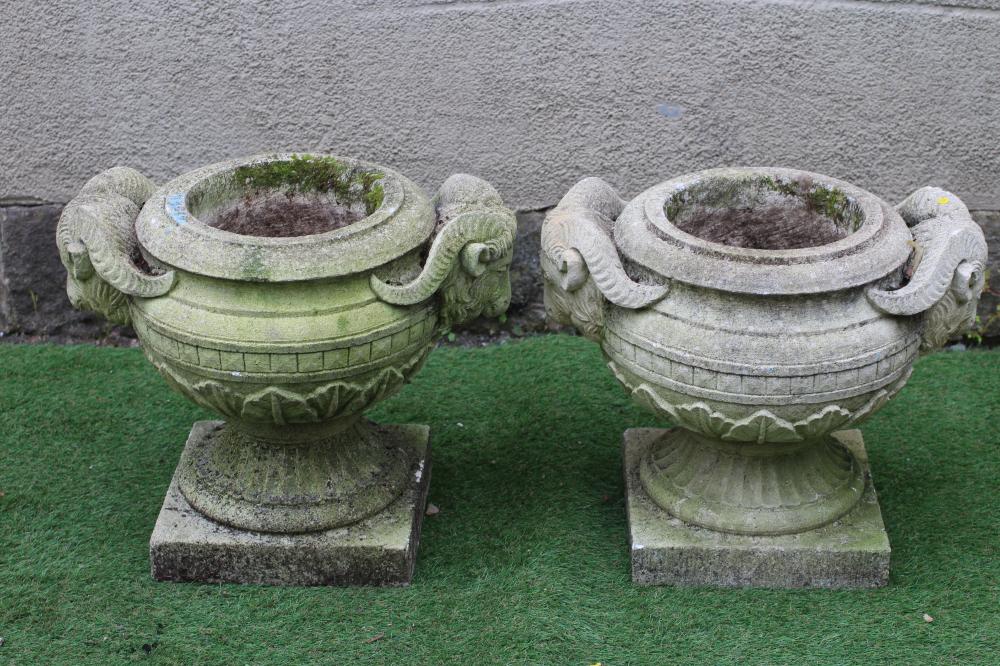 A PAIR OF COMPOSITION STONE URNS, the ovoid bowls with stiff leaf banding and rams head handles, on Image