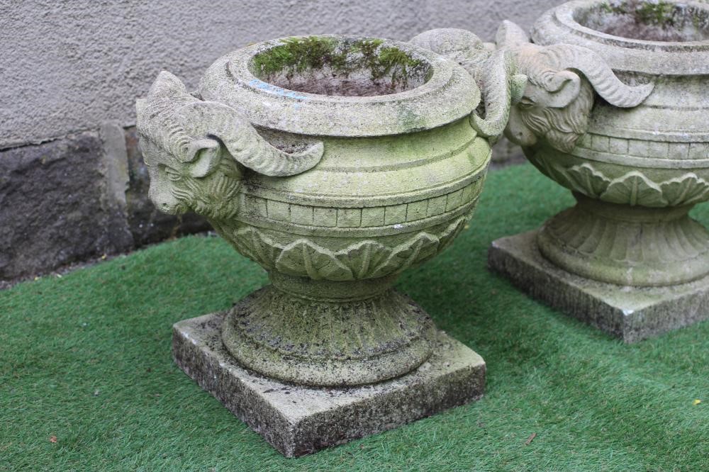 A PAIR OF COMPOSITION STONE URNS, the ovoid bowls with stiff leaf banding and rams head handles, on Image