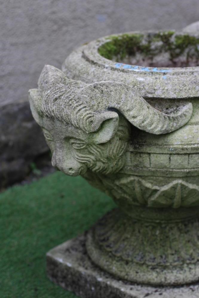 A PAIR OF COMPOSITION STONE URNS, the ovoid bowls with stiff leaf banding and rams head handles, on Image