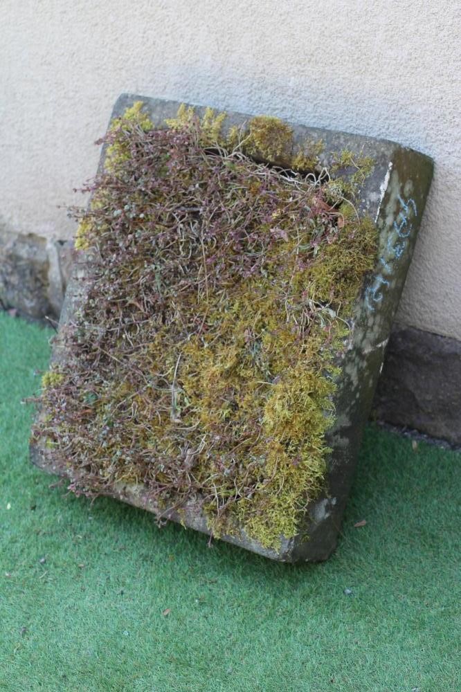 A SANDSTONE SINK, 21 1/2" X 32 1/4" x 5 1/2", together with another, 26 1/4" x 22 1/2" x 5 1/2" (2) Image