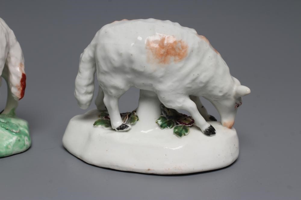 A DERBY PORCELAIN GRAZING EWE Image
