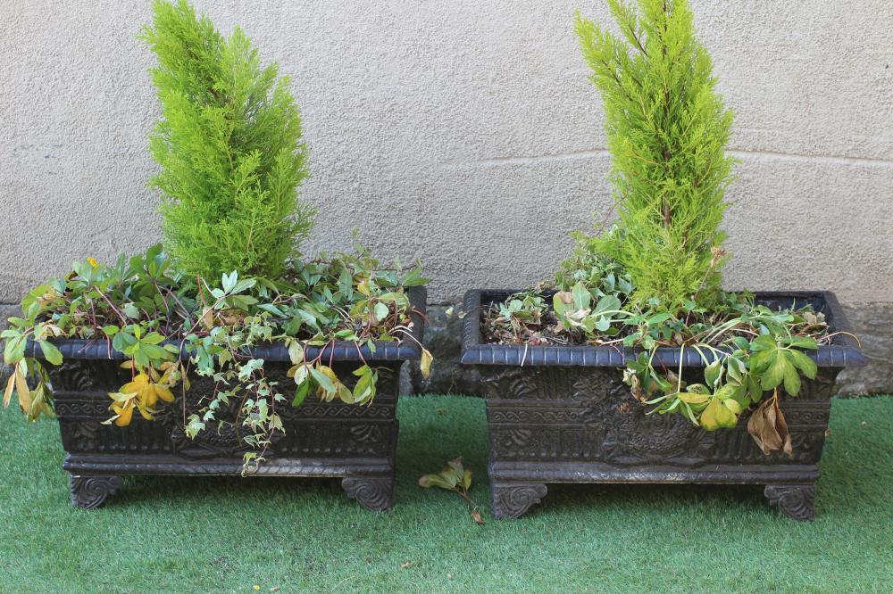 A PAIR OF CAST IRON JARDINIERES of oblong tapering form with flared rim on foliate bracket feet Image