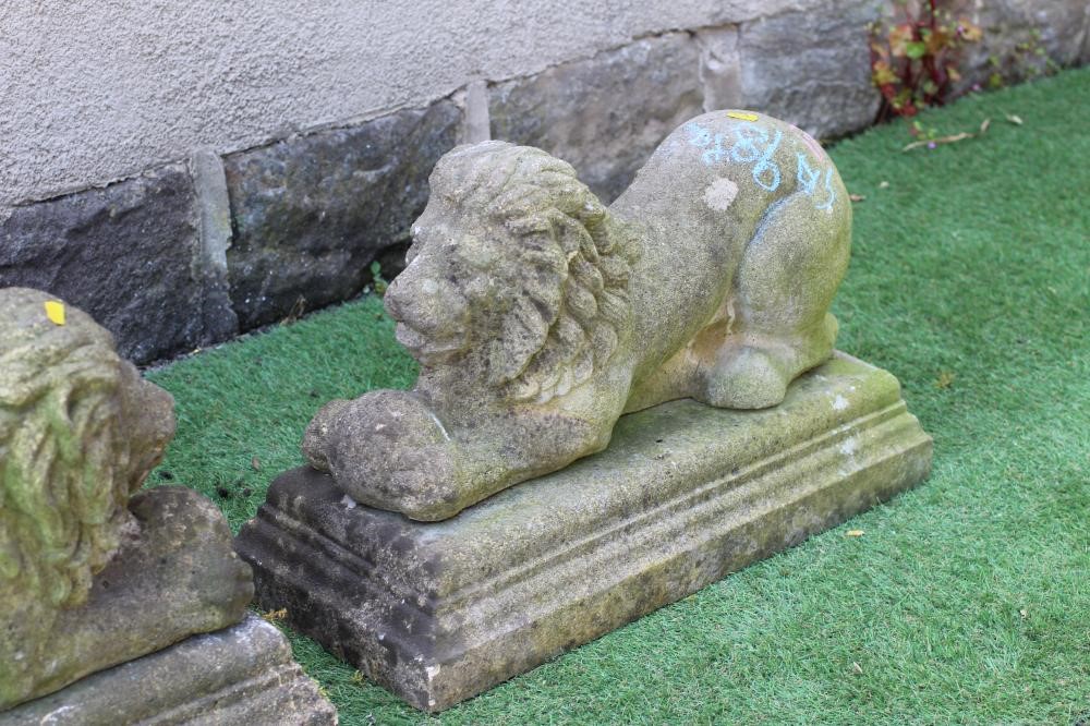 A PAIR OF CAST STONE RECUMBENT LIONS each holding a ball in its front paws, on moulded oblong base, Image