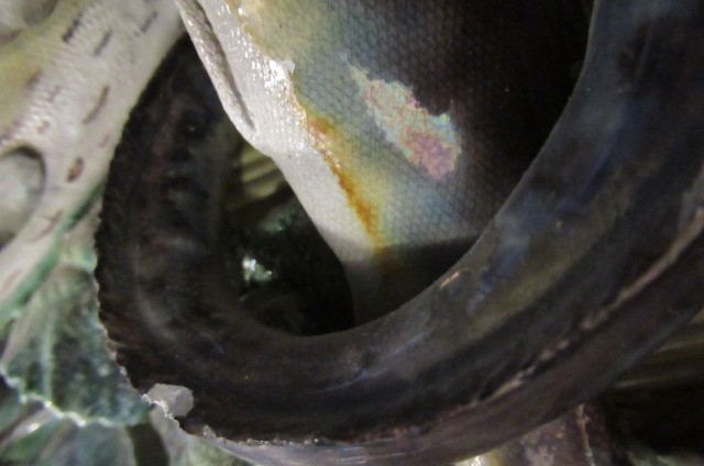 A PAIR OF PALISSY STYLE MAJOLICA PLAQUES Image