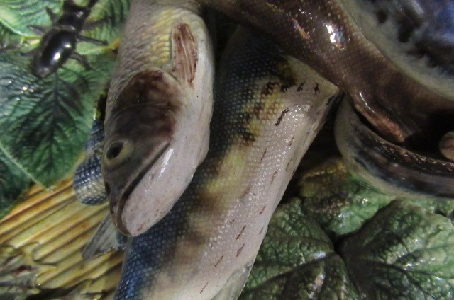 A PAIR OF PALISSY STYLE MAJOLICA PLAQUES Image