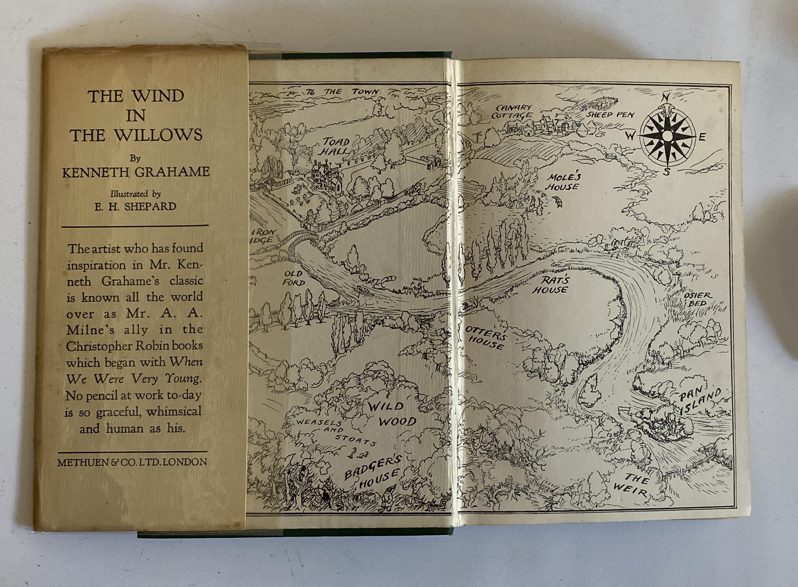 THE WIND IN THE WILLOWS Image