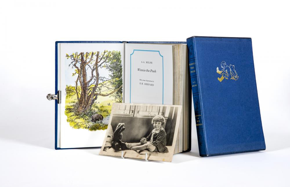 WINNIE THE POOH Image