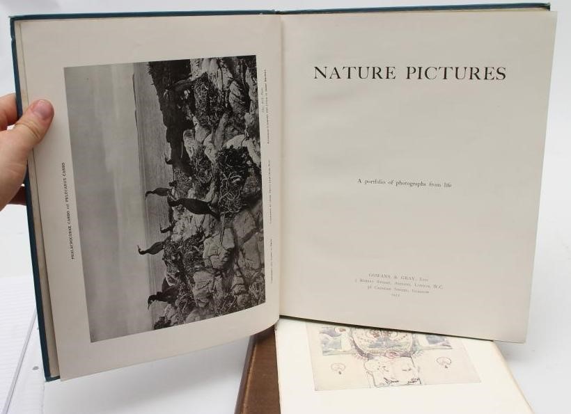 JESSIE MARION KING - The Studio Image