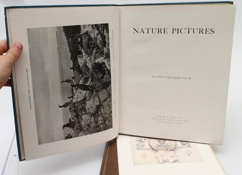 JESSIE MARION KING - The Studio Image