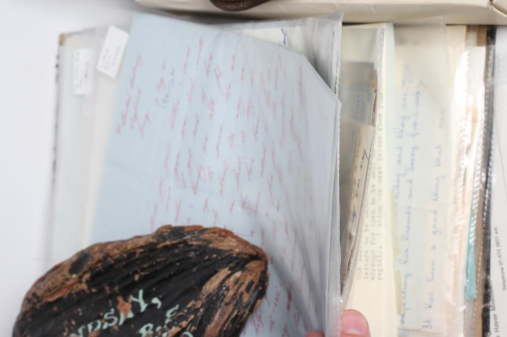 TWO FAMILIES OF MEDALS Image