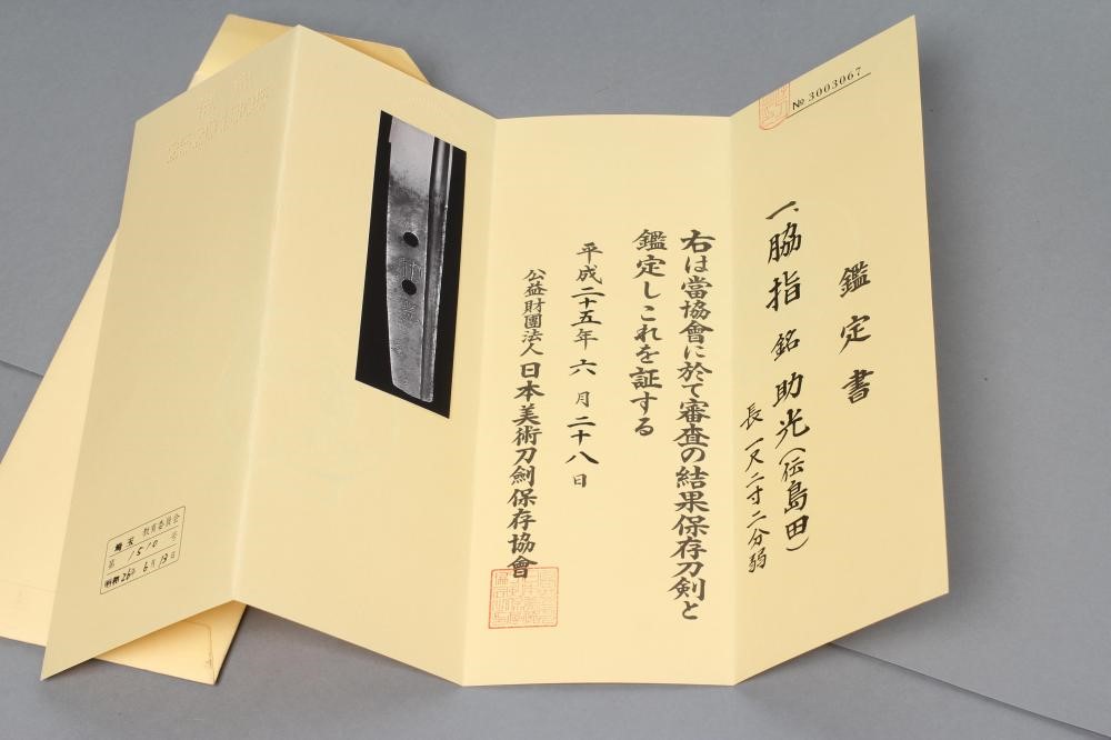 A JAPANESE WAKIZASHI Image