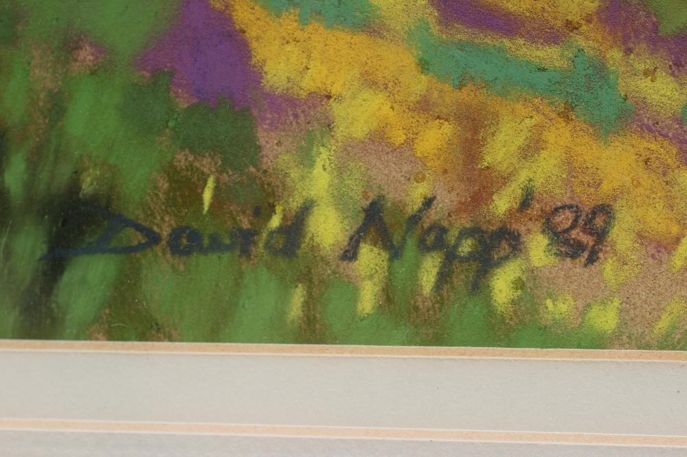 DAVID NAPP (b.1964) Image